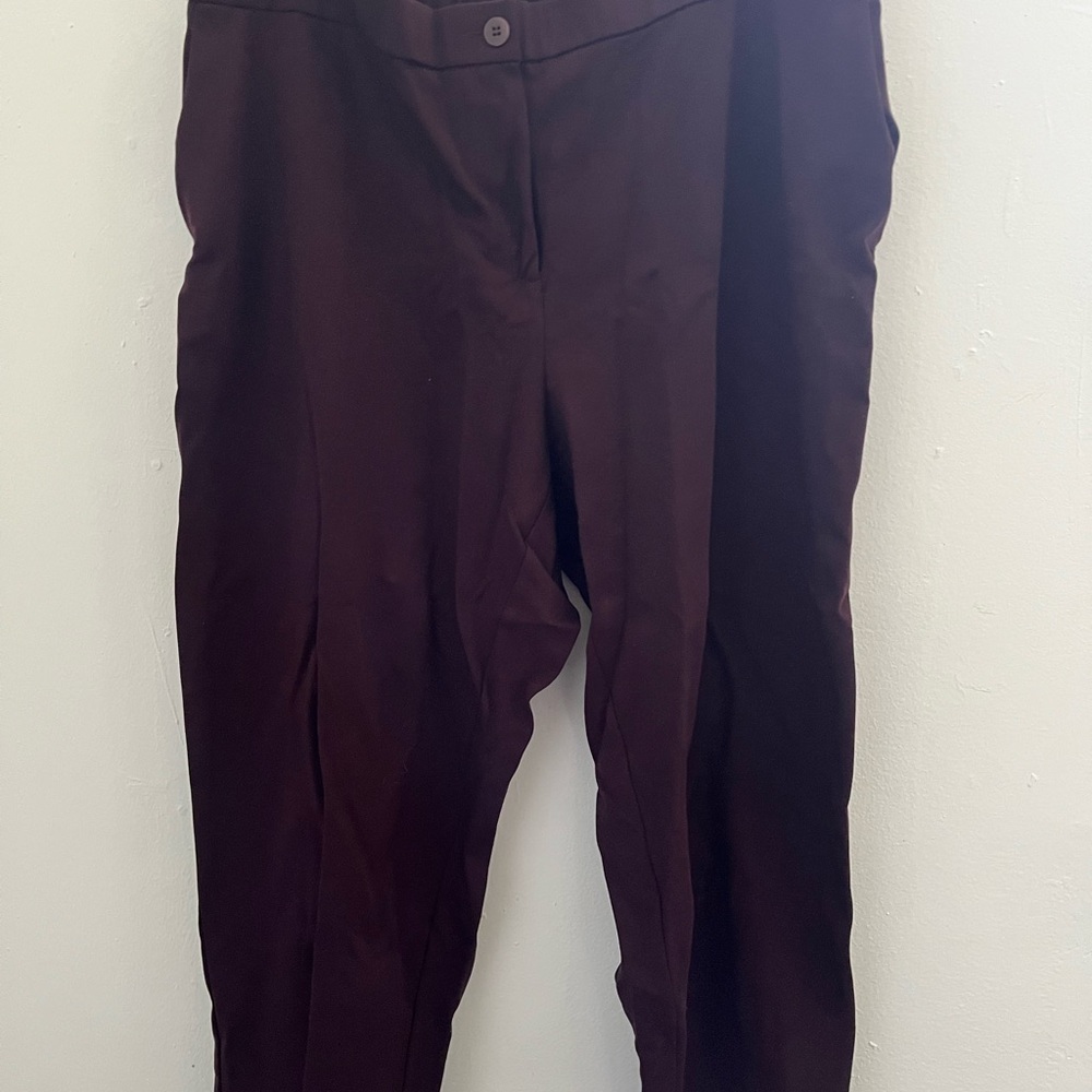 Eileen Fisher Deep Burgundy Pants